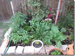 IMG_0145 IMG_0145