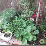 IMG_0153 IMG_0153