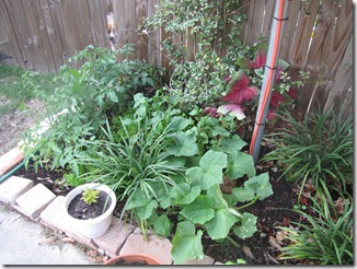 IMG_0153 IMG_0153