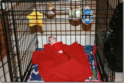 155924_1752915625608_1320446437_31931717_6838839_n