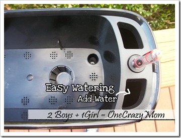 Lechuza self watering Planters 6