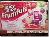 Punch Splash Juicy Juice