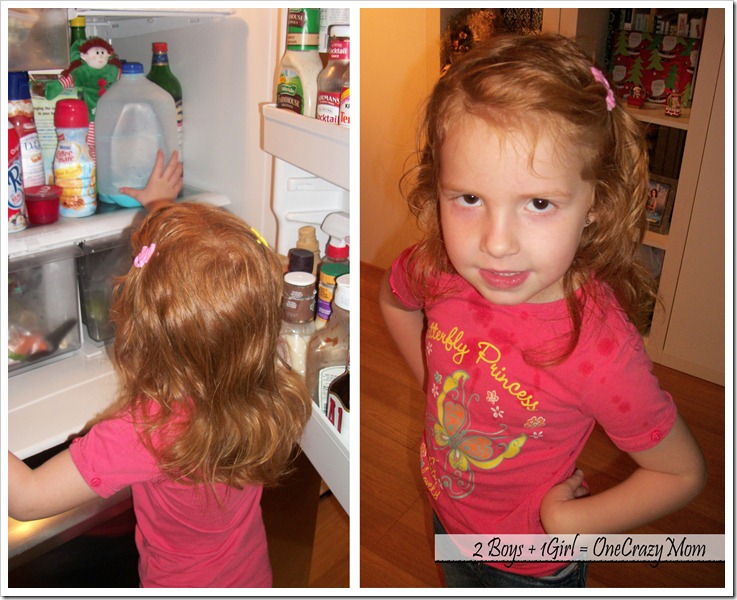 The Princess finding Elf Becky in the fridge