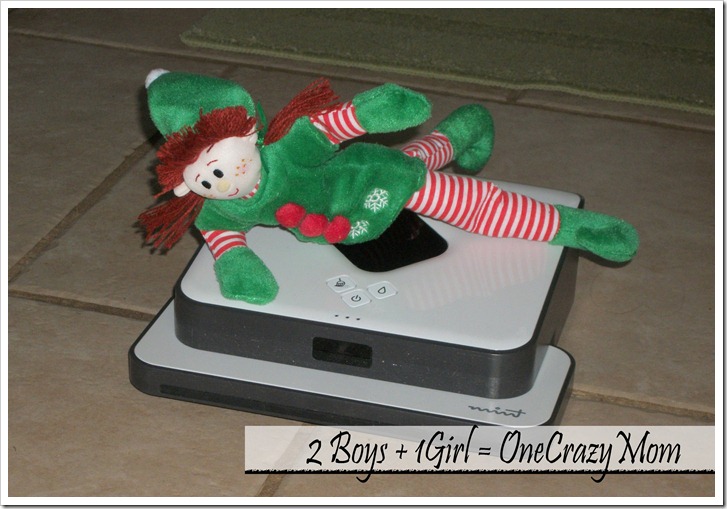 our elf taking a spin on the Mint Cleaner