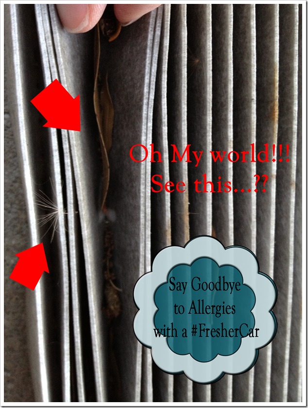 Can you say Allergies #FresherCar is a MUST Get a NEW Filter ASAP