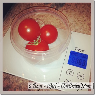 Ozeri Gourmet Digital Kitchen Scale 5