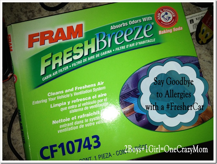 Say Goodbye to Allergies with a #FresherCar