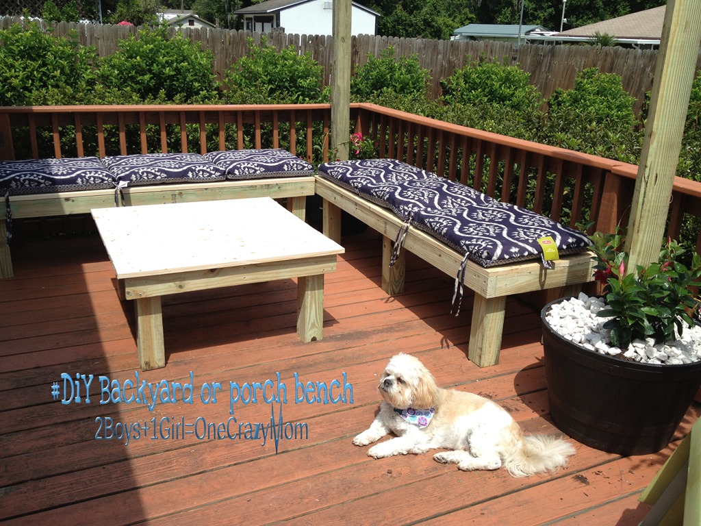 http://twoboysonegirlandacrazymom.com/wp-content/uploads/2013/05/DIY-backyard-bench-simple-and-will-save-you-a-ton-of-money.jpg