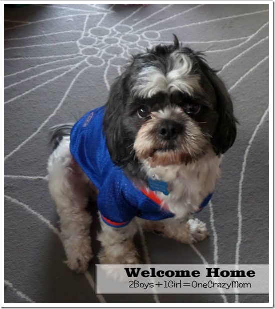 WELCOME HOME WOODSTOCK