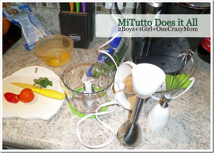 Prepare your next meal with the 9090G MiTutto Immersion Hand Blender #Review