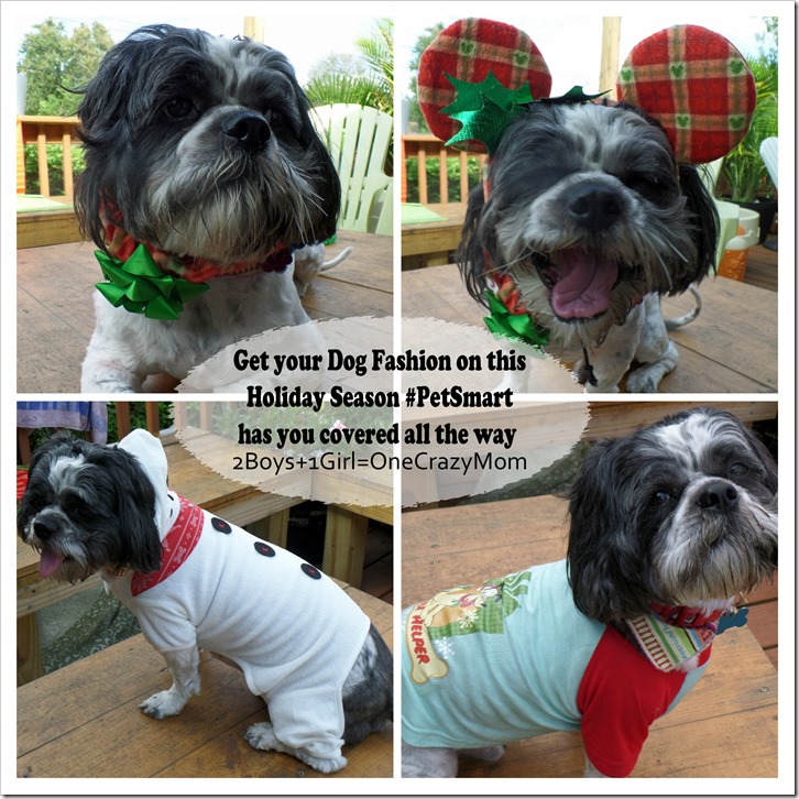 Let your Dogs be your Santa helpers this year and let them be in style #DogOutfits 