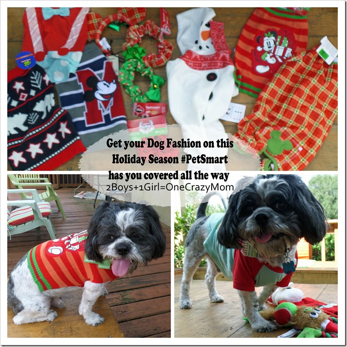 Let your Dogs be your Santa helpers this year and let them be in style #DogOutfits 
