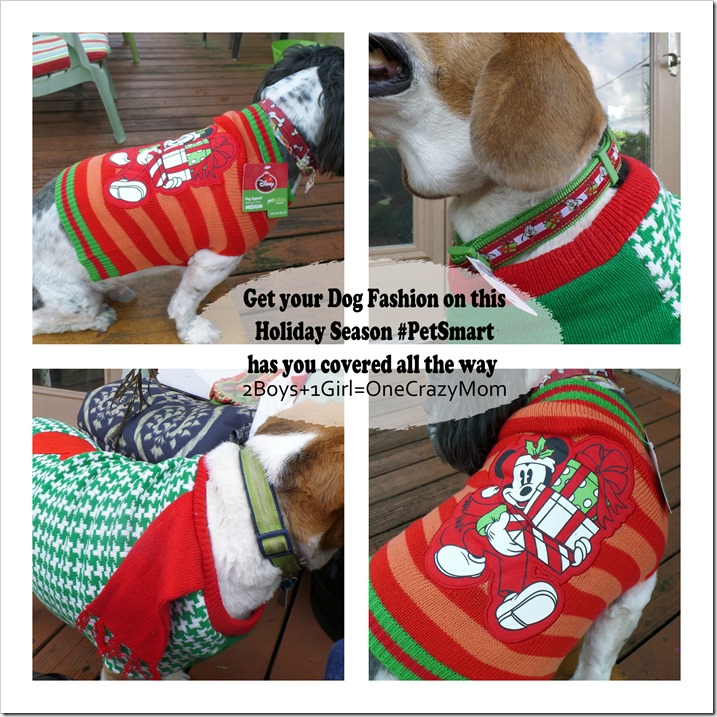 Let your Dogs be your Santa helpers this year and let them be in style #DogOutfits 