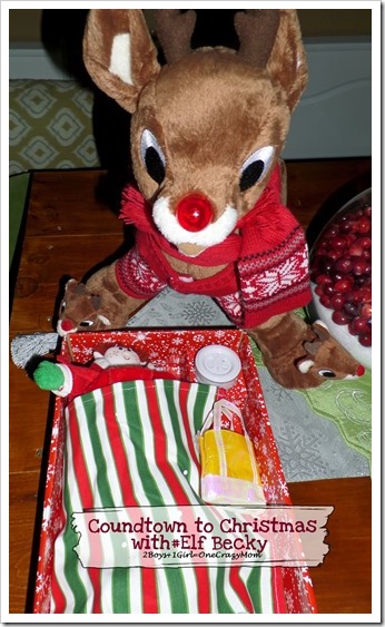 Elf Magic Countdown to Christmas Day 4 #Elfcapades