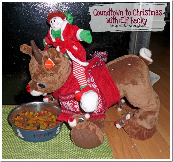 Elf Magic Countdown to Christmas Day 7 #Elfcapades
