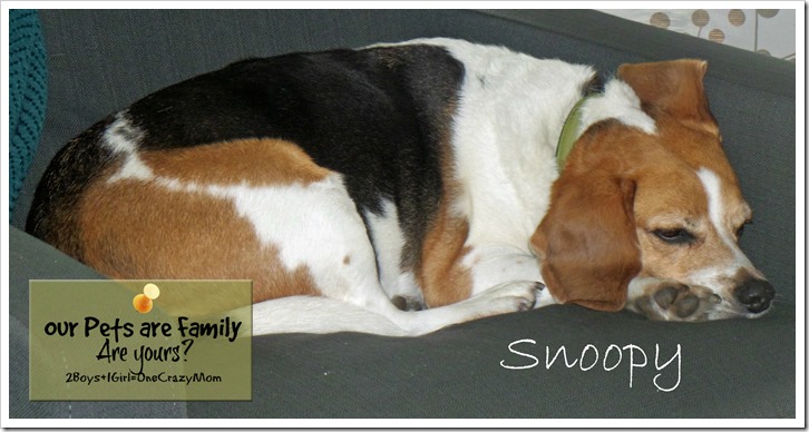 Our Fur Babies are Family ~ Are yours? #WalgreensRX isn’t just for Humans and has your sick pet covered 