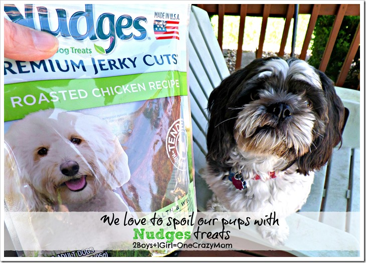#ad Come check out some of our #NudgesMoments with our Peanut Gallery and all about Pet Safety during the dog days of summer