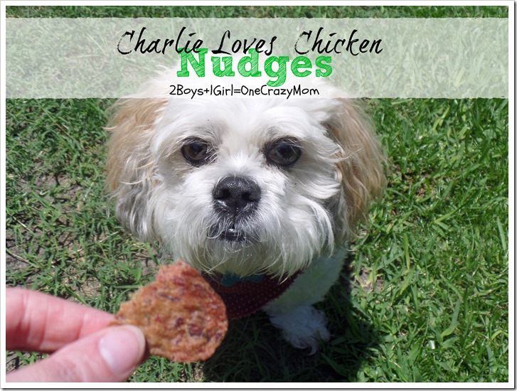 #ad Come check out some of our #NudgesMoments with our Peanut Gallery and all about Pet Safety during the dog days of summer