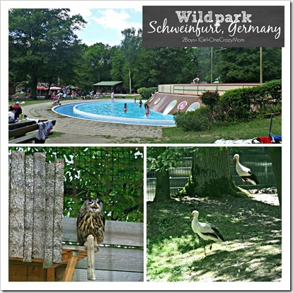 So much fun at the Wildpark in Schweinfurt Germany copy