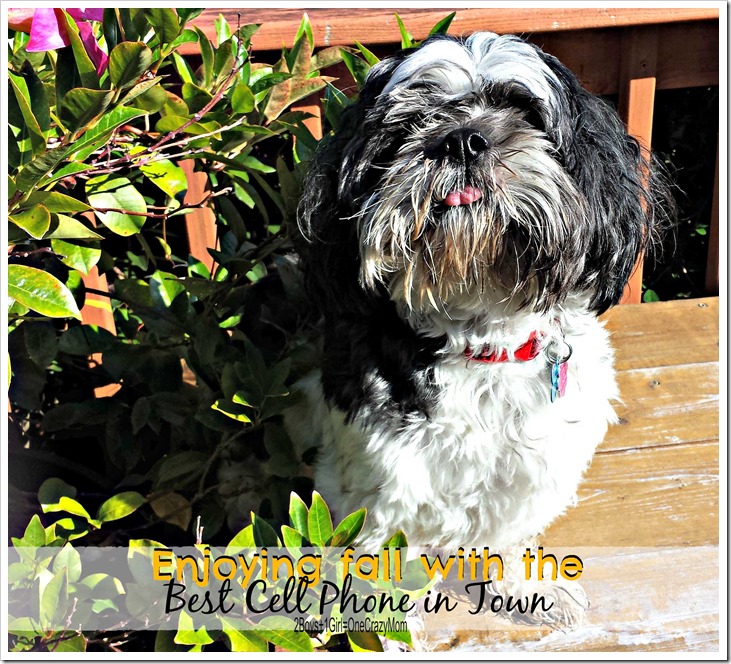 Great phones and great pictures #Fall4Phones with family Mobile #Shop