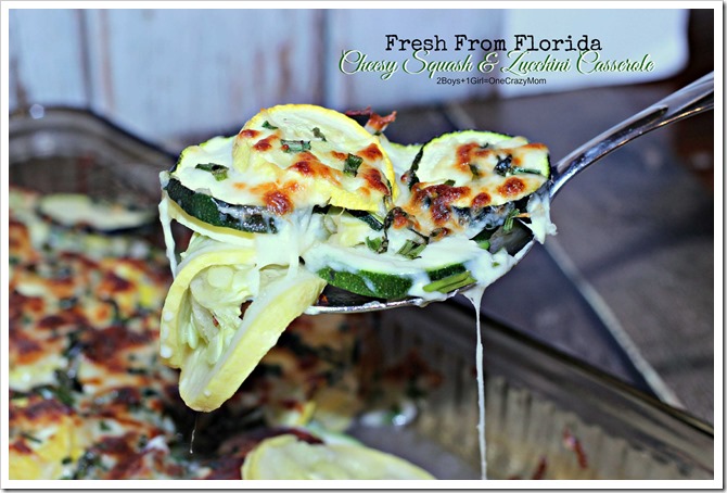Fresh from Florida Cheesy Squash and Zucchini Casserole #Recipe #ad