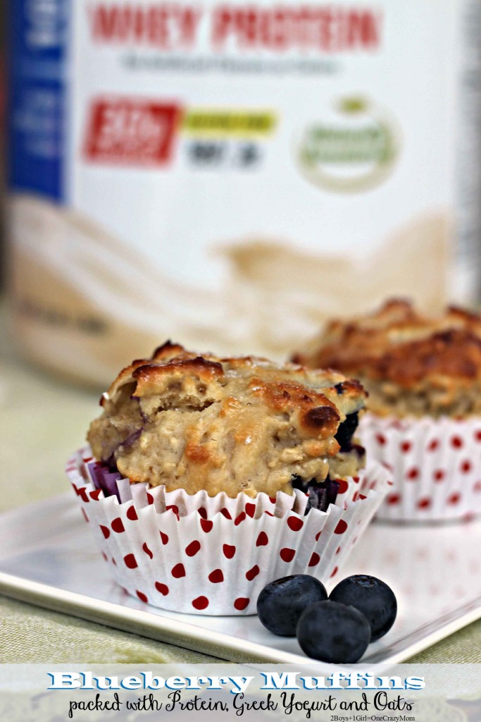 Blueberry Protein Muffisn with Yogurt and Oats #Recipe