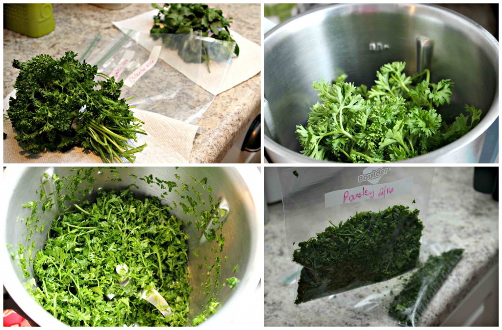 Kitchen Hack freeze fresh herbs enjoy longer #YesYouCAN