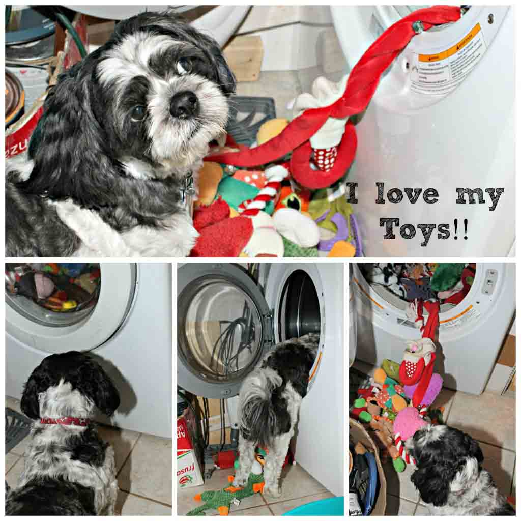 So-what-I-love-my-toys-Dogs-1024x1024