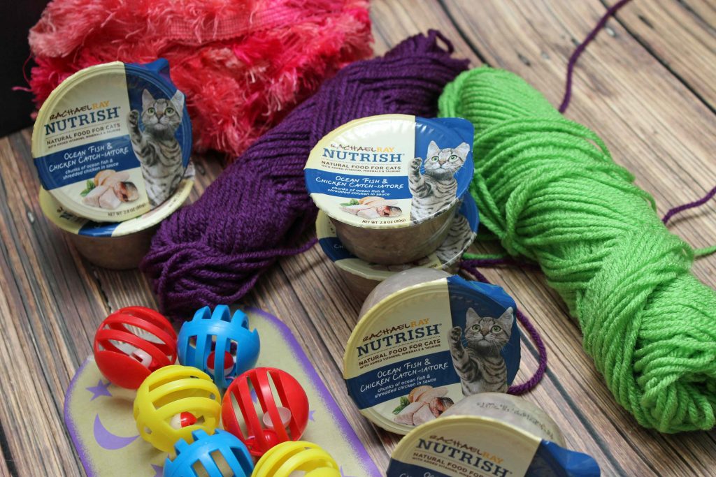 #NutrishCatCrafts-are-easy-to-make-and-lots-of-fun