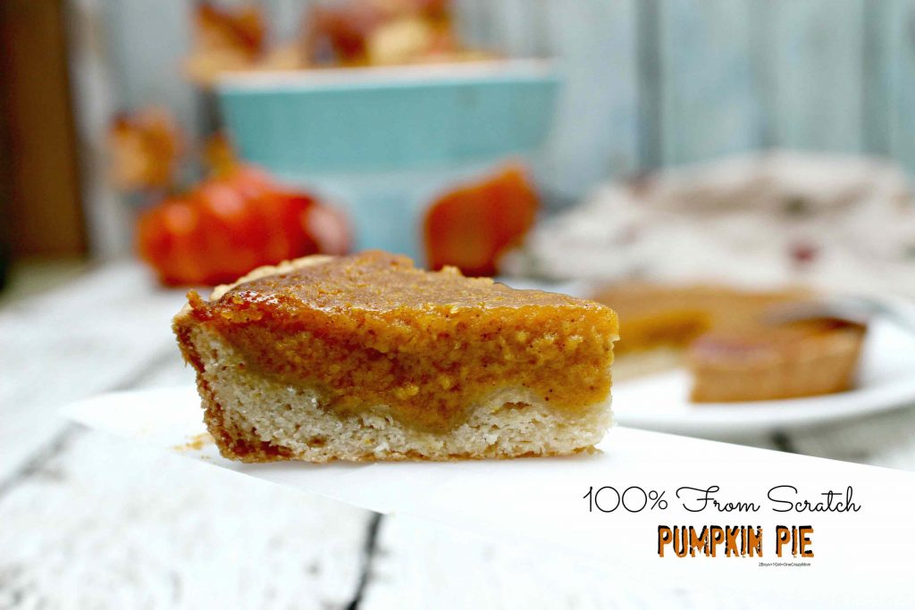 thermo-cooking-pumpkin-pie-from-scratch