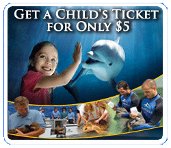 On our way to Seaworld.. found a Deal