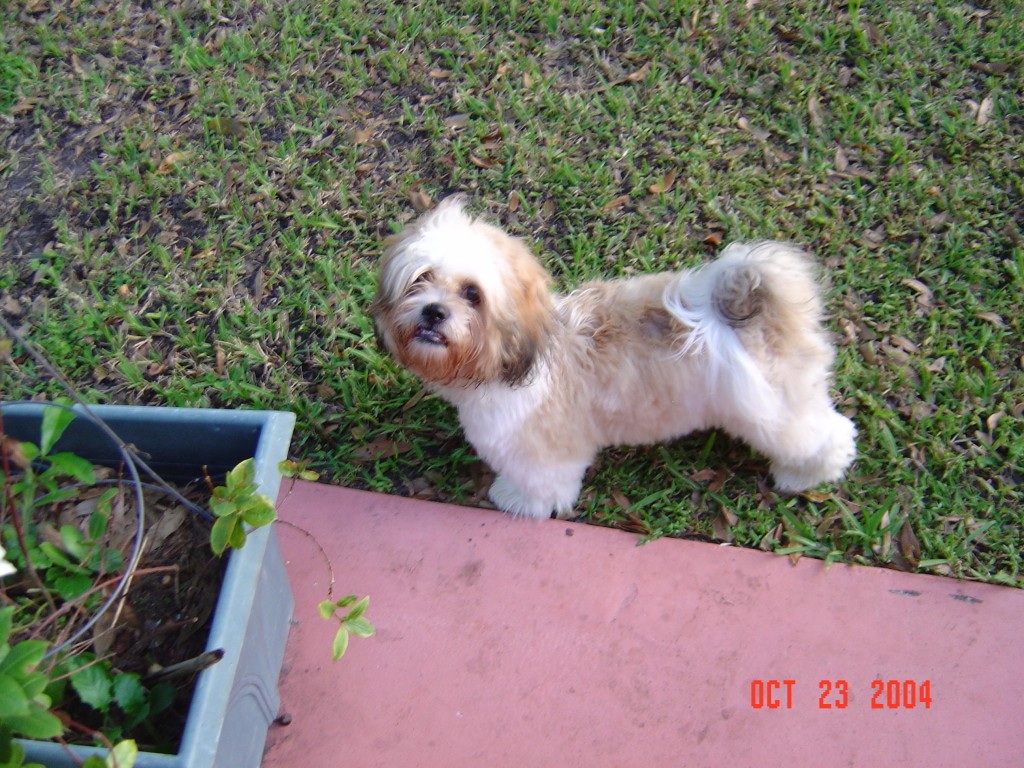 What a Busy Wednesday… A day in Crazy Mom’s Life