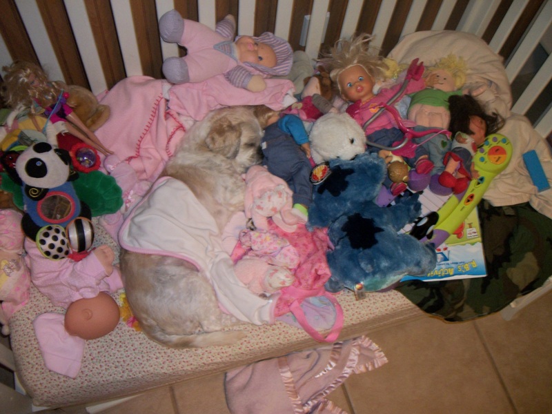 Just had to share…