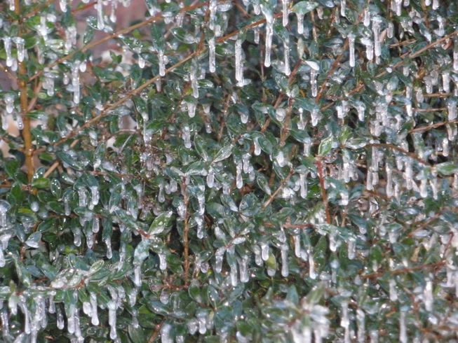 Brrrr it’s cold in Florida