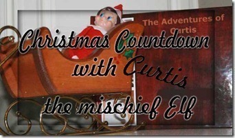 Curtis the Elf….Countdown to Christmas Day 15
