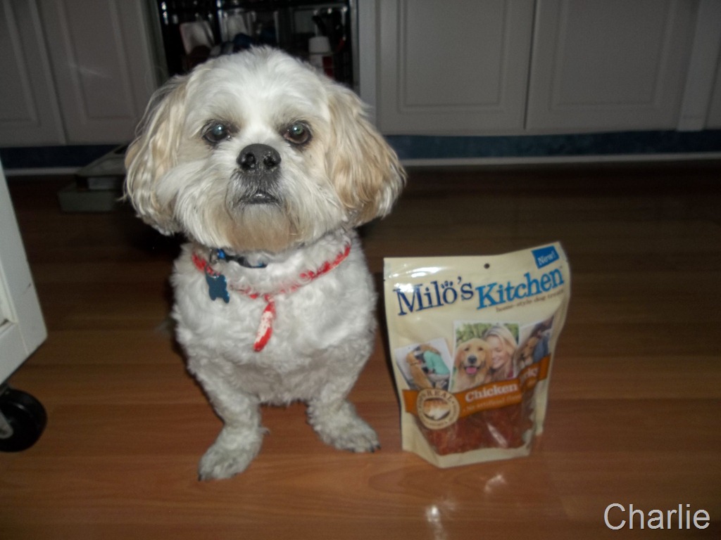 We are teaching our old dogs new tricks with #ILoveMyk9 and #CBias