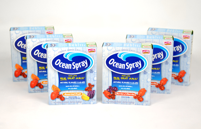 Ocean Spray® Fruit Flavored Snacks #MyBlogSpark {Giveaway}