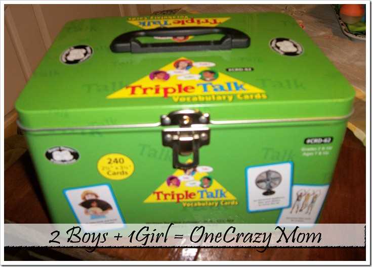 Hot Toy 2012: Triple Talk Vocabulary Cards #Giveaway