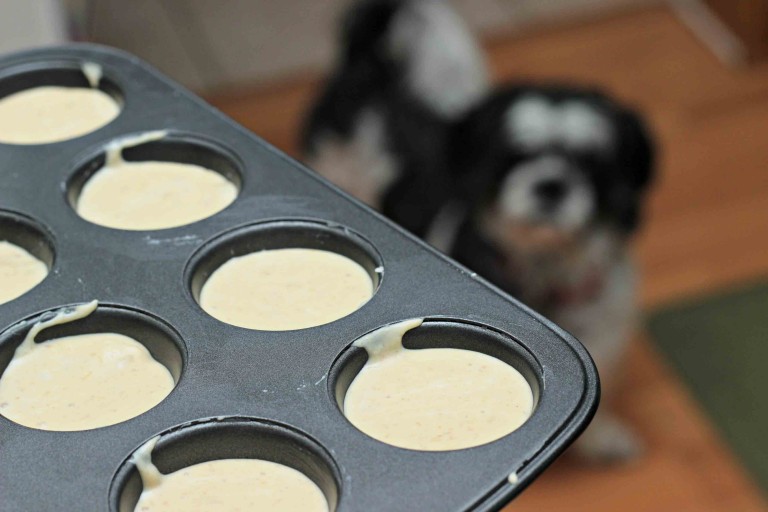 Frozen Banana Yogurt Peanut Dog Treats Recipe